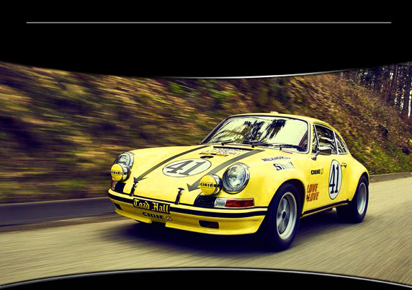 911 Toad Hall - 1 : 18