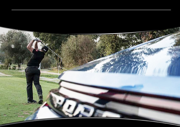 Porsche Golf Collection