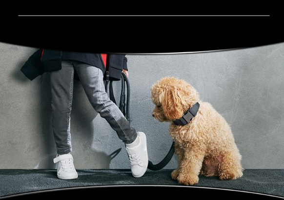 Collier & Laisse pour chien Porsche