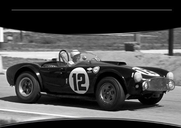 Special Shelby Cobra