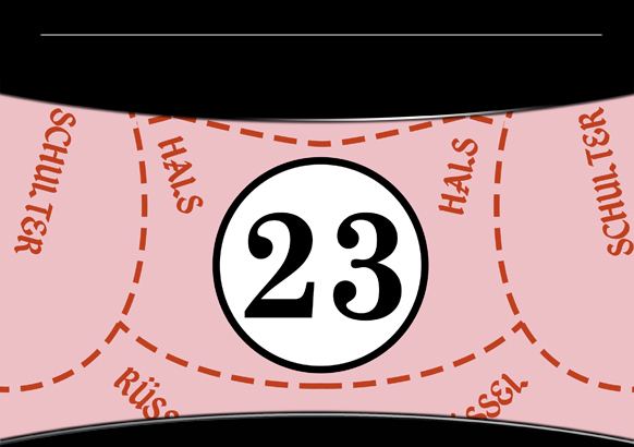 Special Porsche Pink Pig