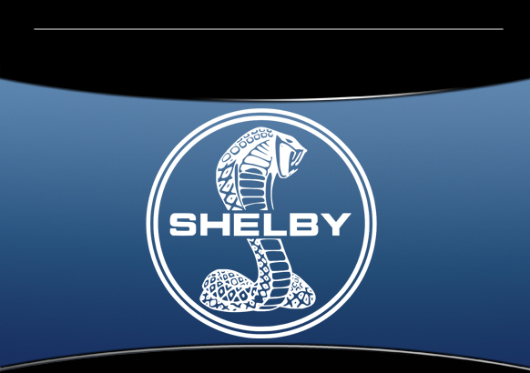 New Shelby Cobra Items